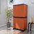 Freedom Mini 2 Door Plastic Shoe Cabinet by Nilkamal