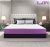 SleepX Ortho Plus Quilted 5 inch King Bed Size, Memory Foam Mattress (Purple, 78x72x5)